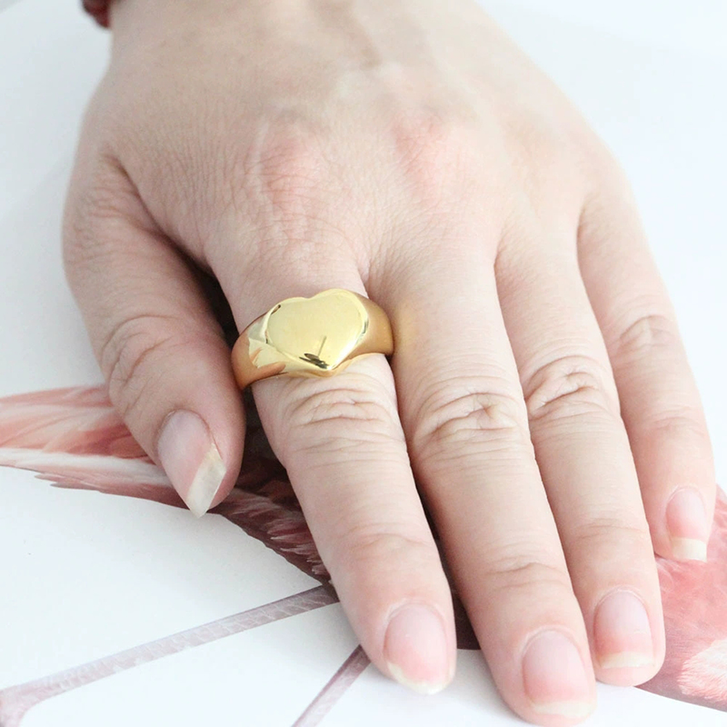 365 Stainless Steel Punk Rock  - Initial Ring Custom review and price